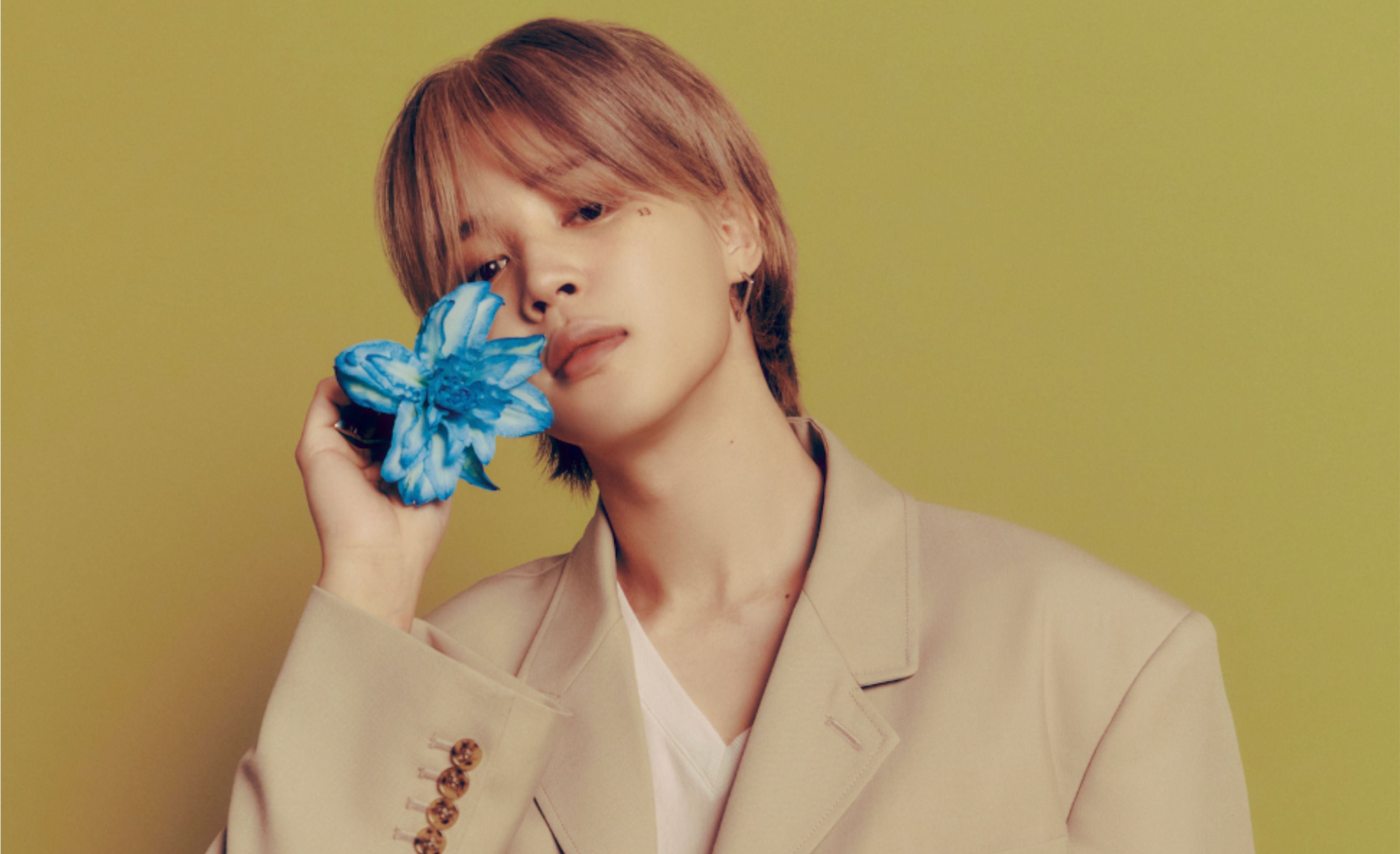 Jimin (BTS) Profil