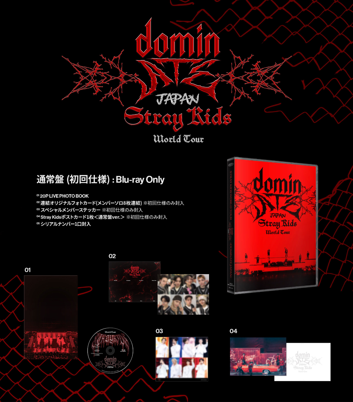 STRAY KIDS - WORLD TOUR 'DOMINATE JAPAN' (BLU-RAY) + HMV Gift