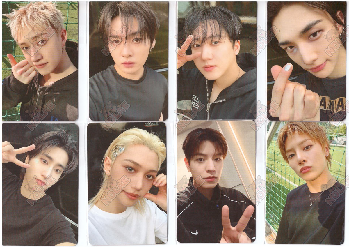 STRAY KIDS - THIS & THAT - FOTOCARTA ALADIN