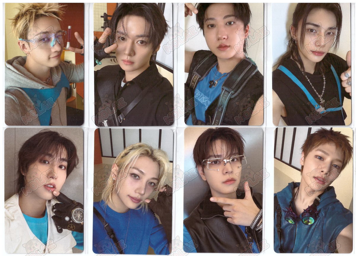 STRAY KIDS - THIS & THAT - FOTOCARTA FANS SHOP (FANS ALBUM)