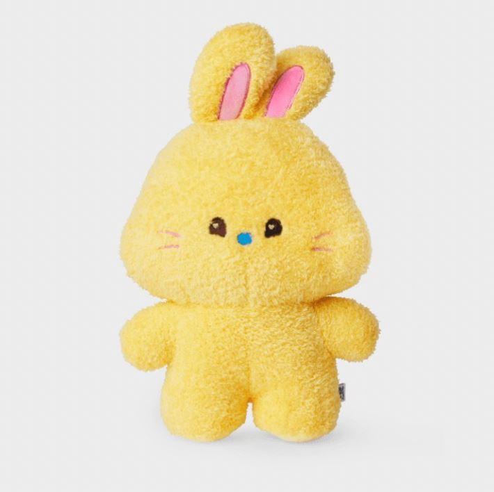 2024-25 秋冬新作  ハイブランドの NEWJEANS DOLL MEDIUM-SIZED BUNINI - 小物