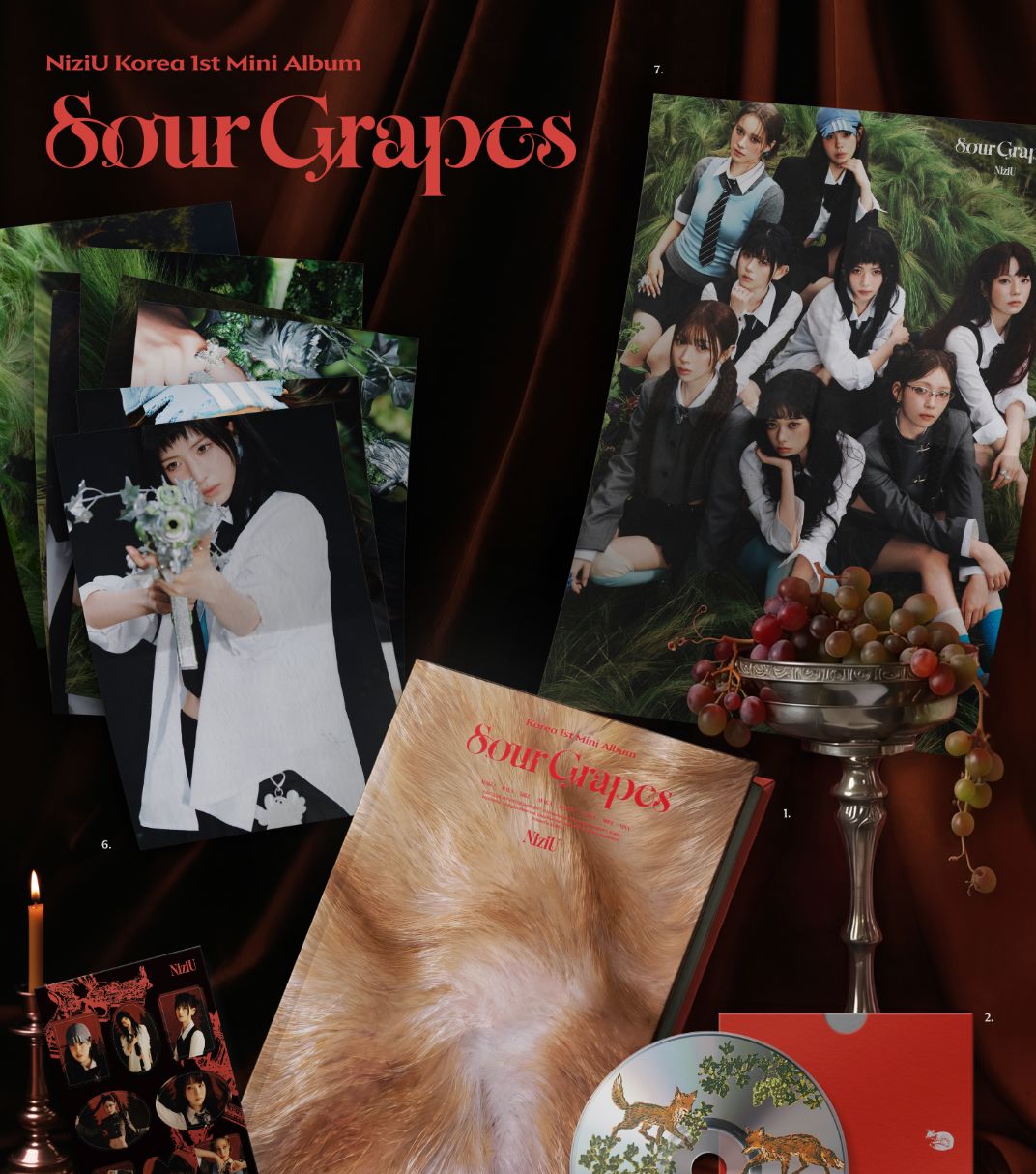 NIZIU - SOUR GRAPES + FANS SHOP Gift Nolae