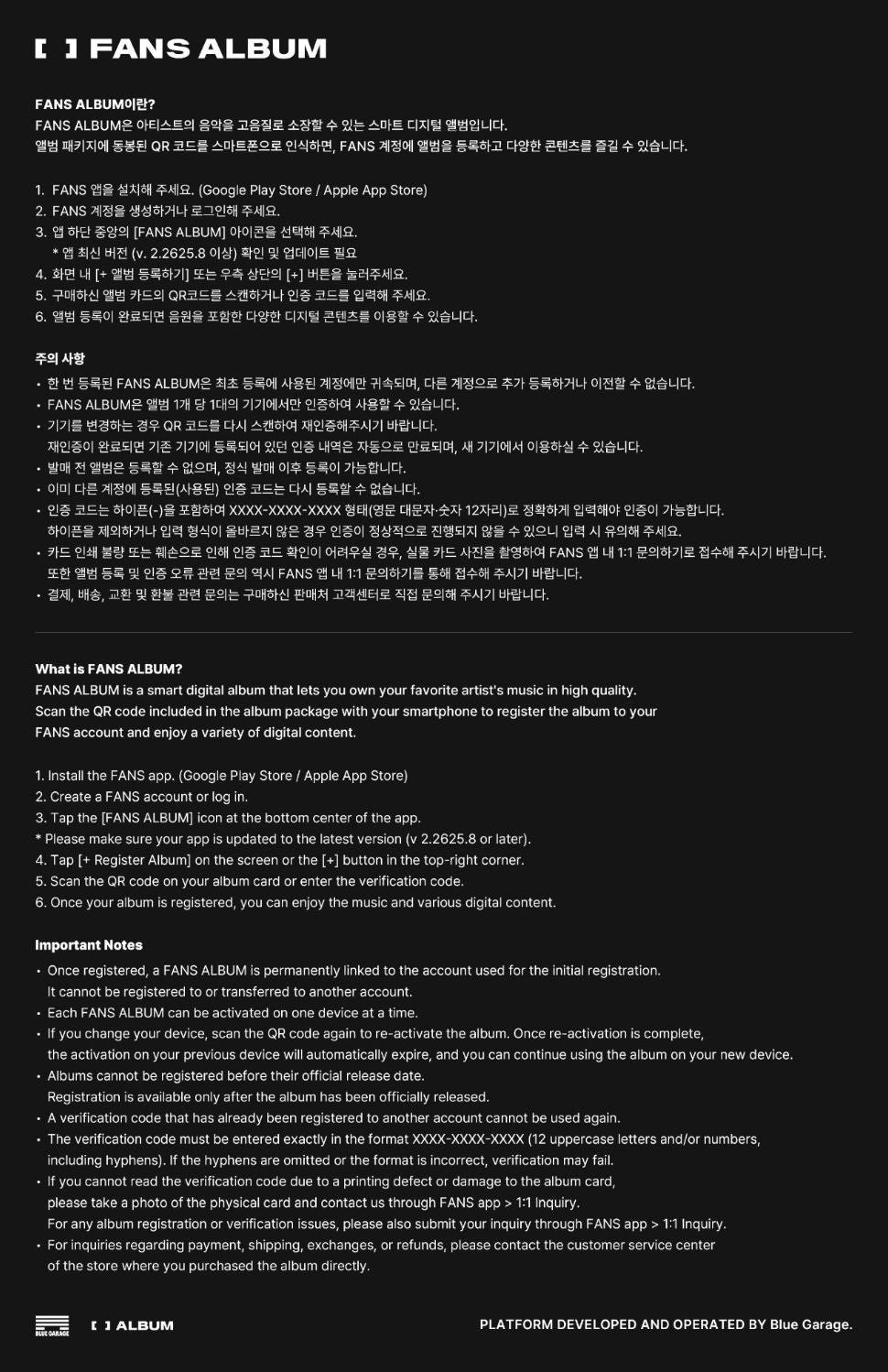 STRAY KIDS - THIS & THAT (FANS ALBUM VER.) + Dear My Muse Gift Nolae