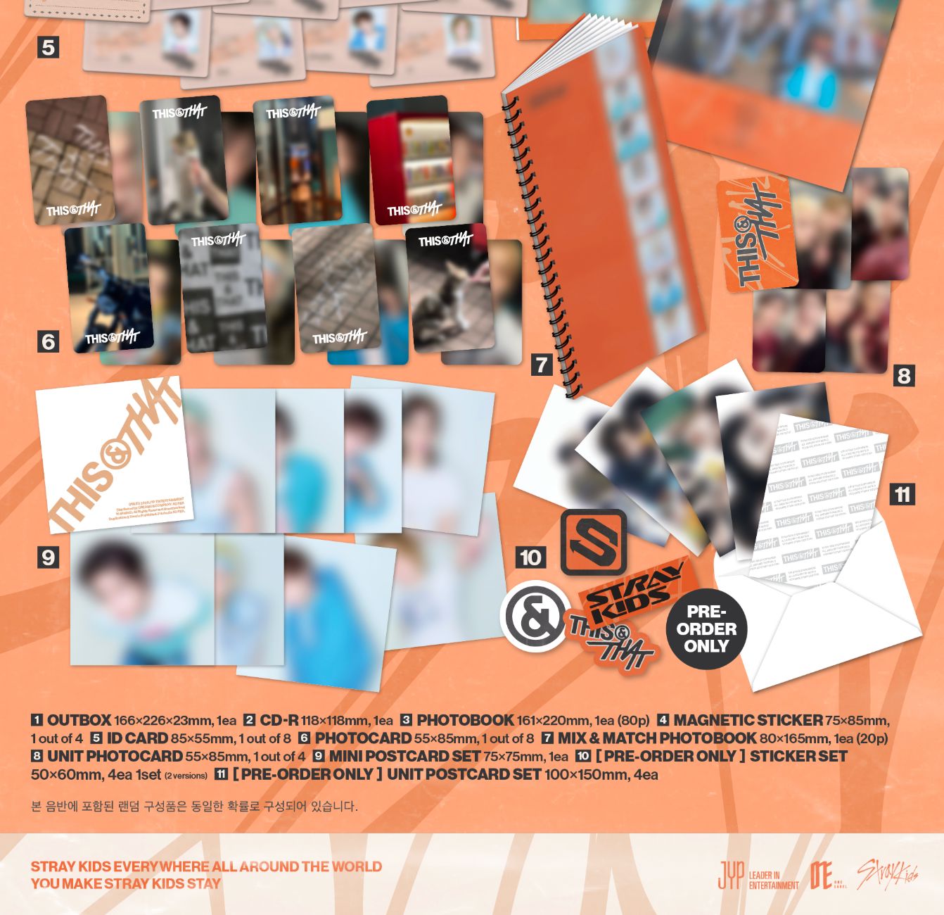 STRAY KIDS - THIS & THAT + FANS SHOP Gift Nolae
