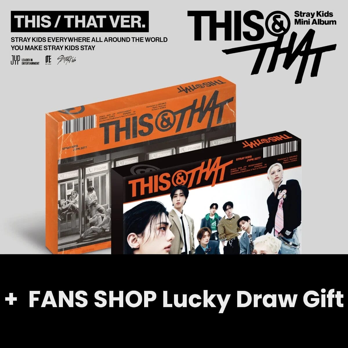 STRAY KIDS - THIS & THAT + FANS SHOP Lucky Draw Gift Nolae