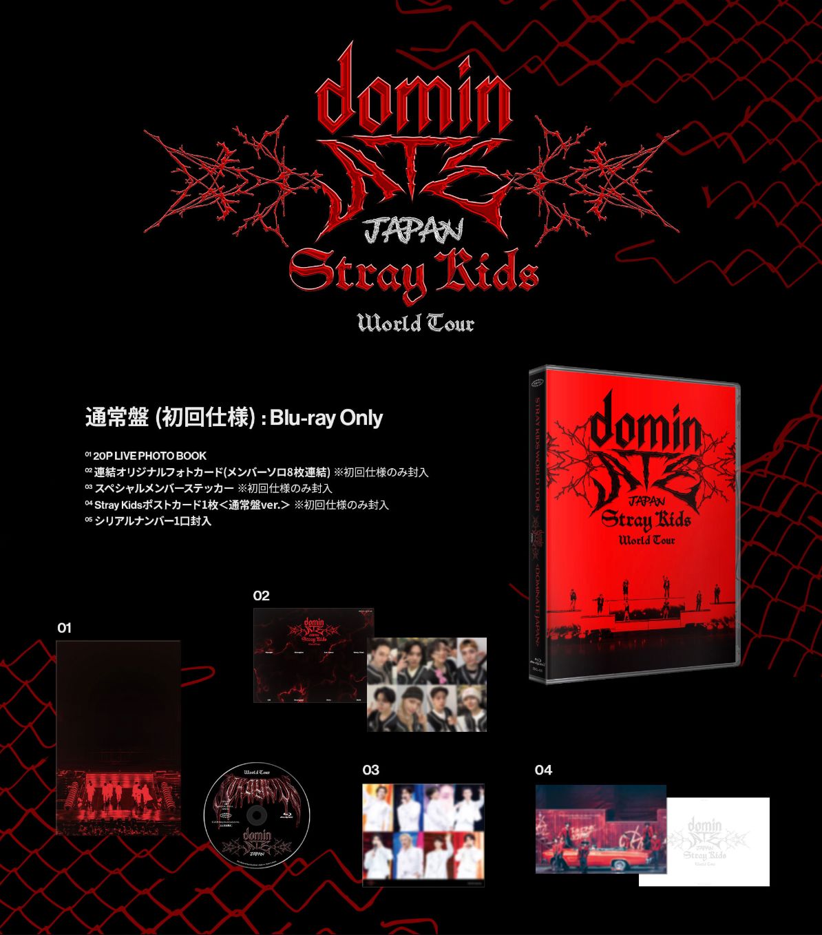 STRAY KIDS - WORLD TOUR 'DOMINATE JAPAN' (BLU-RAY)