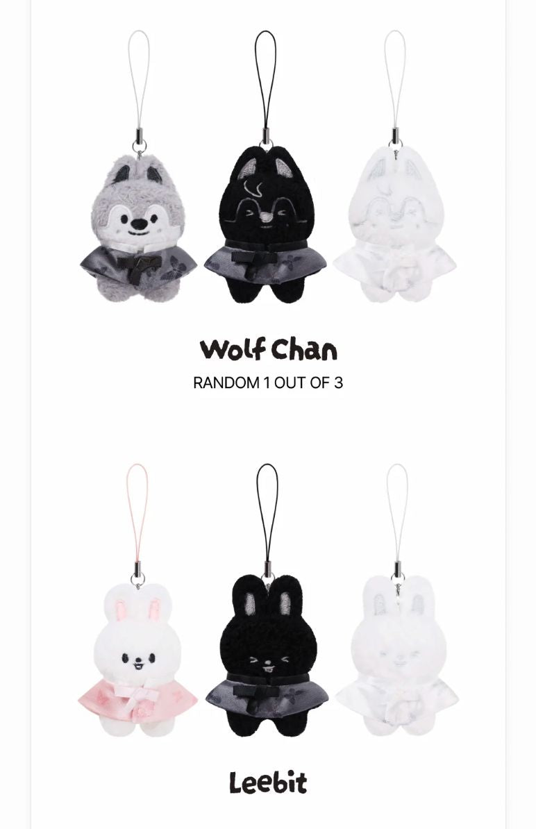 STRAY KIDS - WORLD TOUR 'RUN IT' MD Nolae