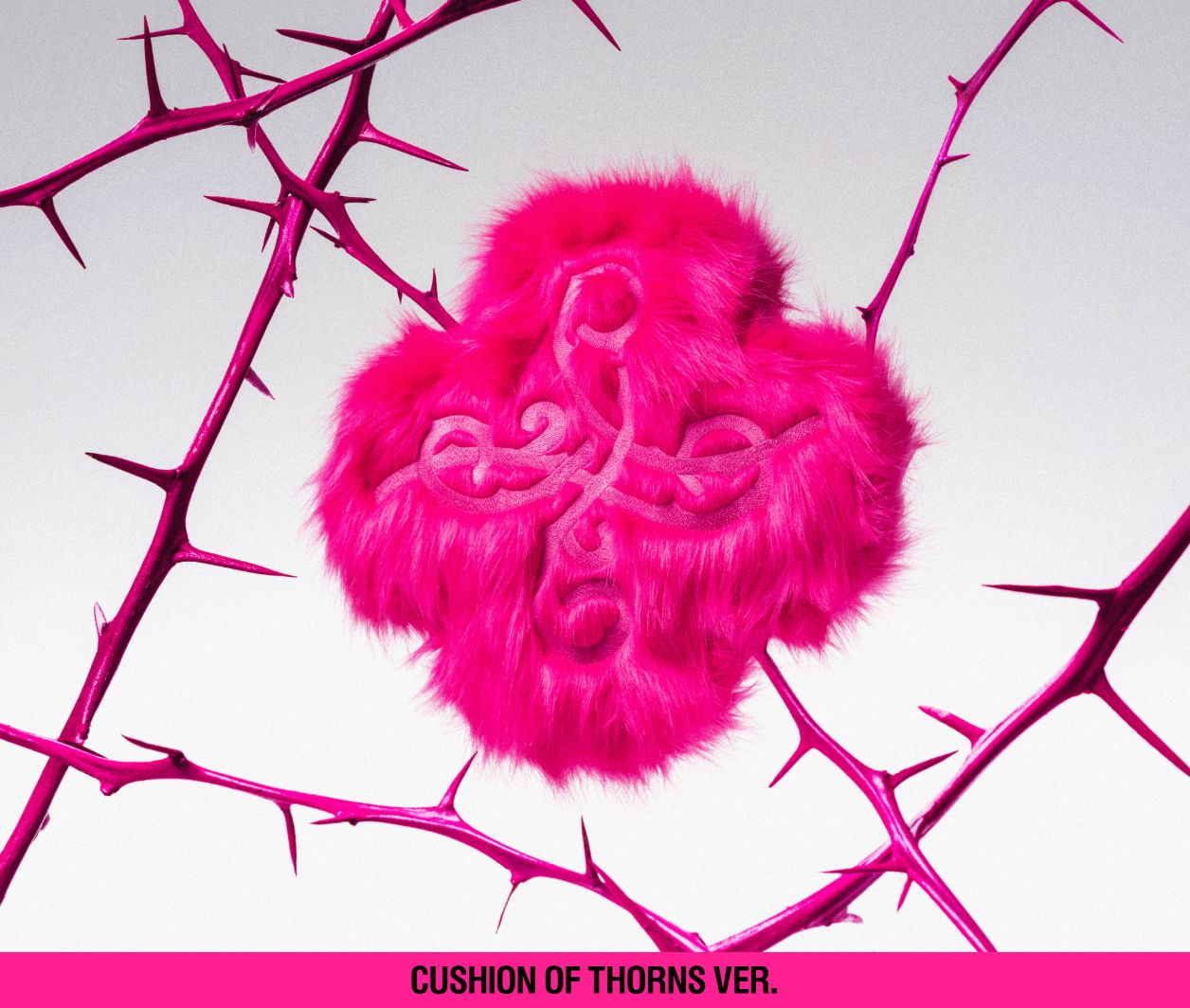 TXT - 7TH YEAR: WHEN THE WIND PAUSED AMONG THE THORNS (CUSHION OF THORNS VER.) Nolae