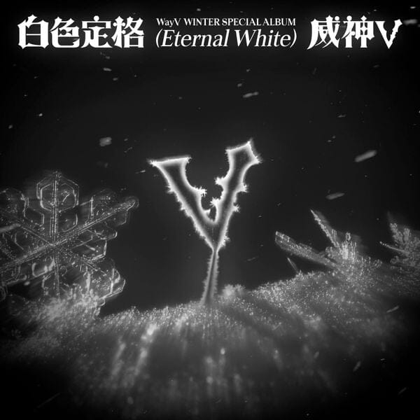 WayV - Winter Special Album [白色定格 (Eternal White)] (Package Ver.) Nolae