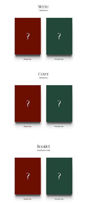 RYEOWOOK - [A Wild Rose] 3rd Mini Album Nolae Kpop